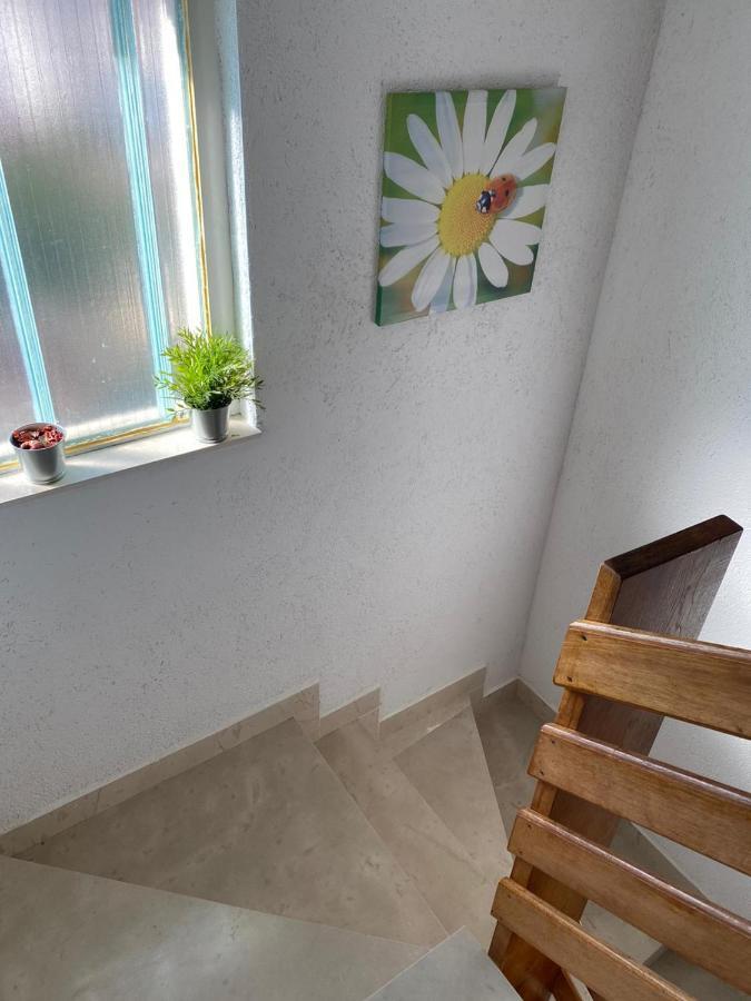 Comfort Apartments Τρογκίρ Εξωτερικό φωτογραφία